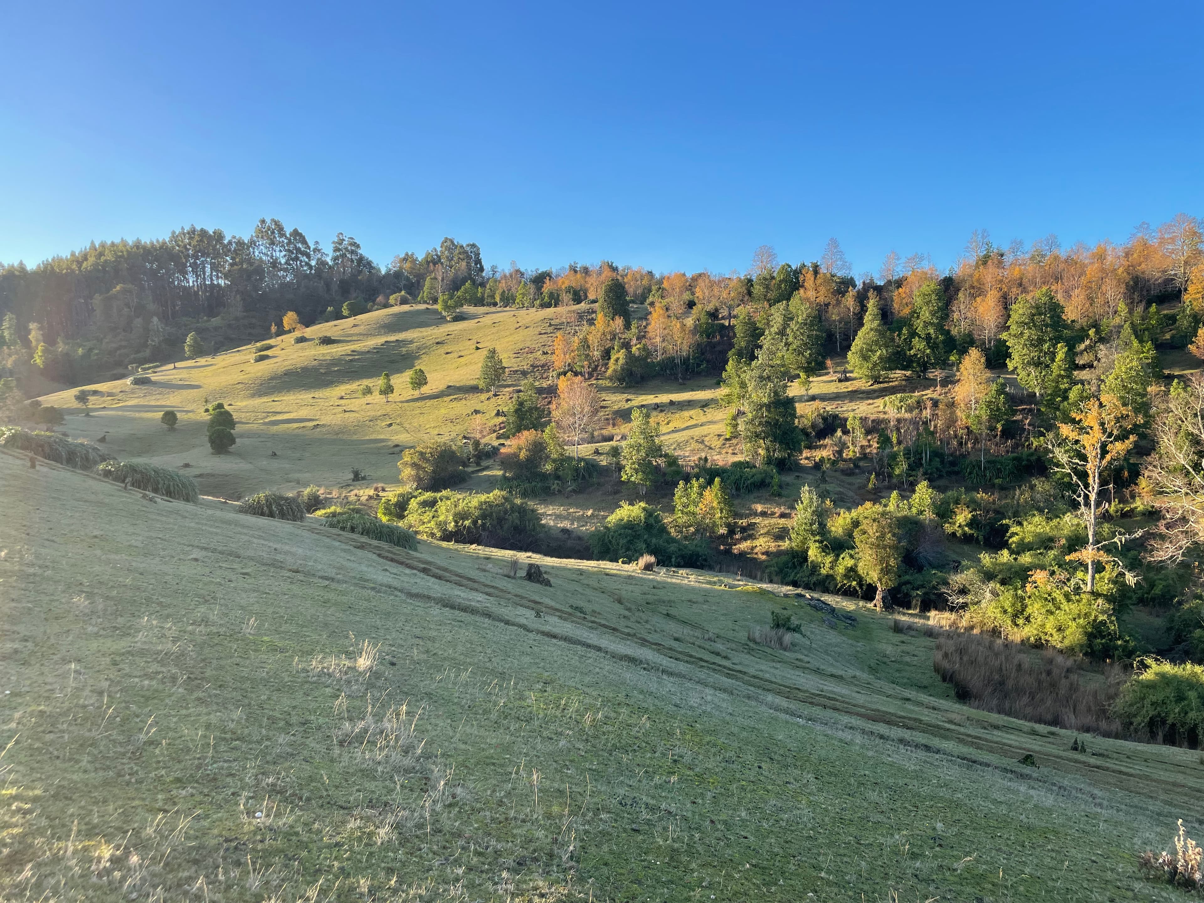 Mirador de Osorno - Foto 4