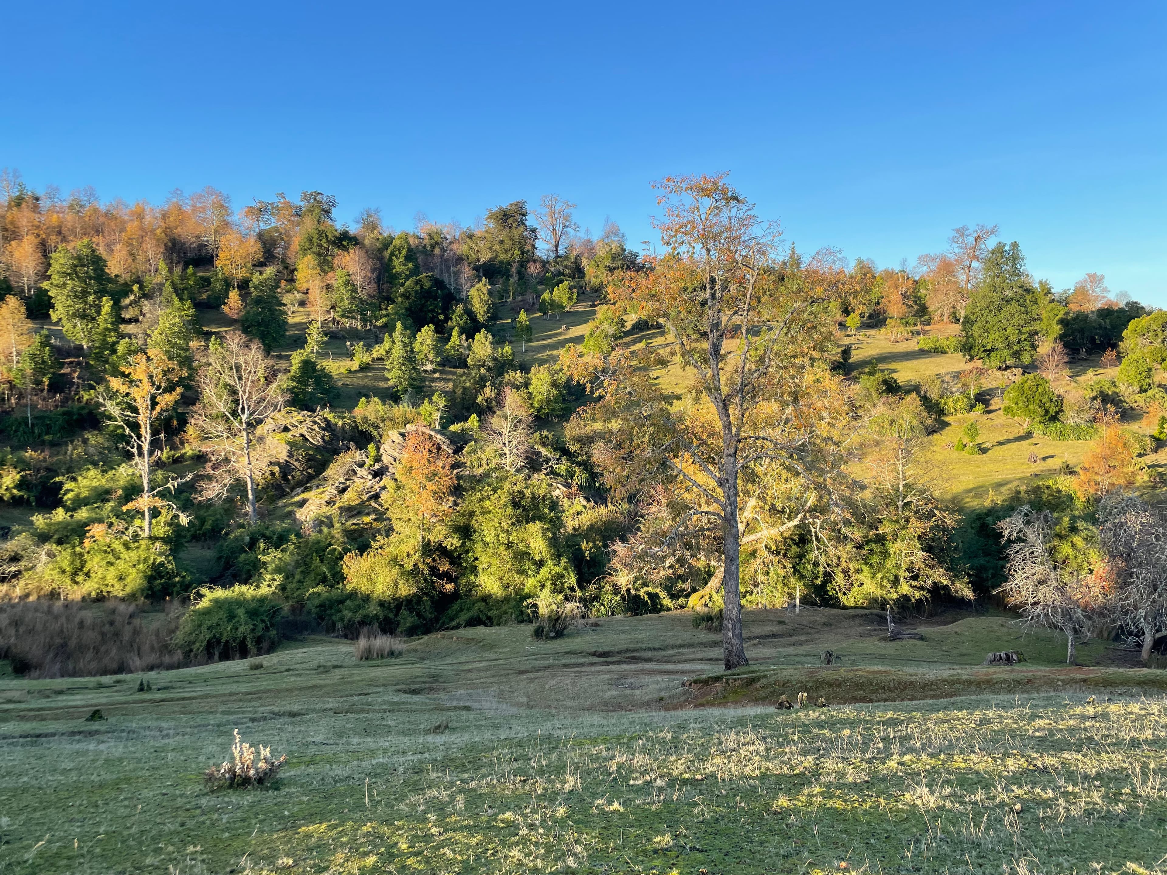Mirador de Osorno - Foto 5
